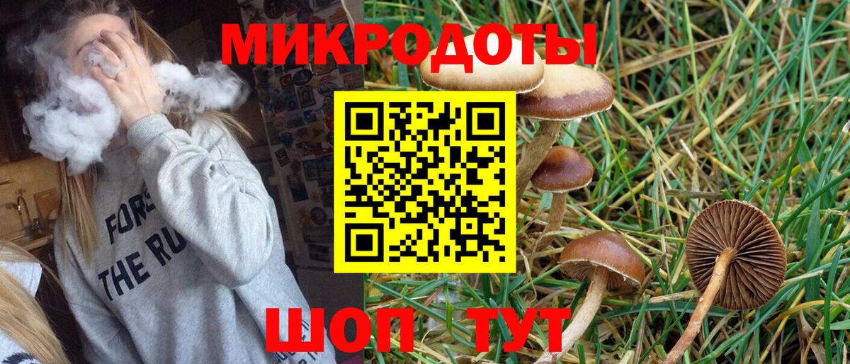 Псилоцибиновые грибы Cubensis Алатырь