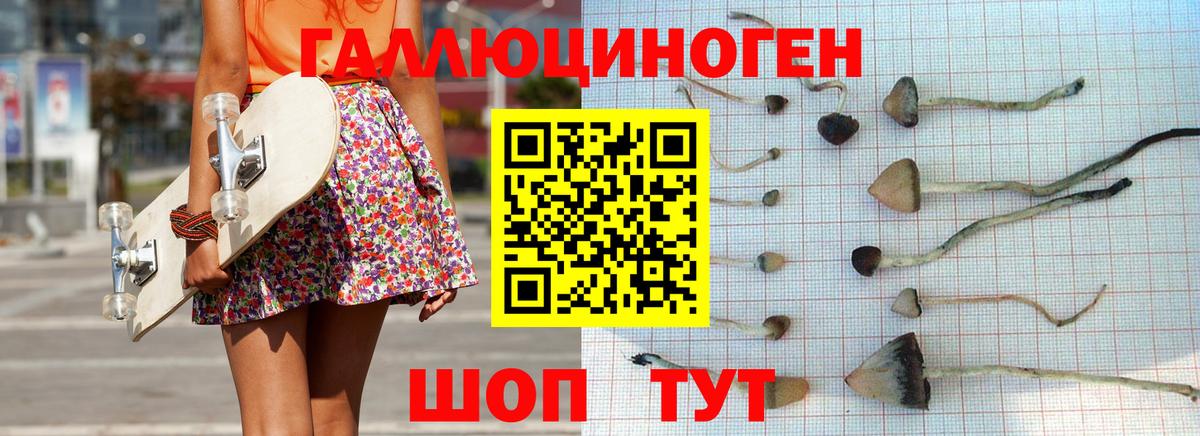 Алатырь  Псилоцибиновые грибы Magic Shrooms  Вход с VPN 